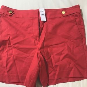 **NEW** Loft high waist shorts size 12